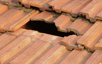 roof repair Nappa Scar, North Yorkshire